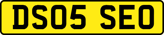 DS05SEO