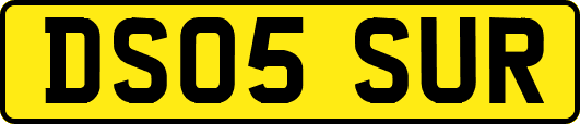 DS05SUR