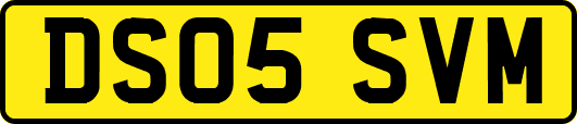 DS05SVM