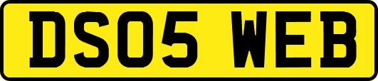 DS05WEB
