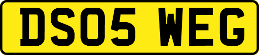 DS05WEG