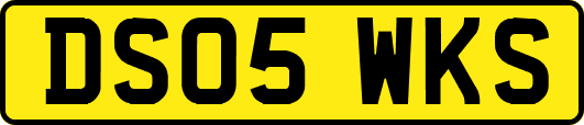 DS05WKS