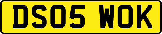 DS05WOK