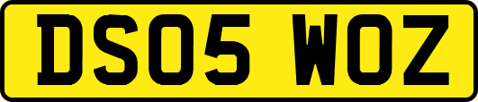 DS05WOZ