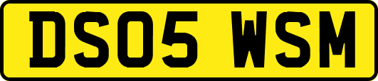 DS05WSM