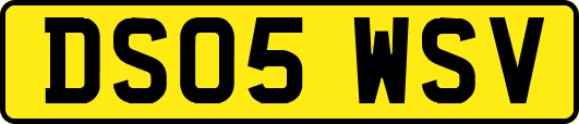 DS05WSV