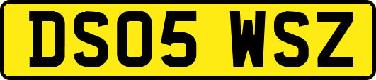 DS05WSZ