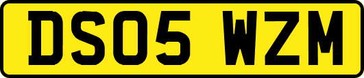 DS05WZM