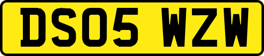 DS05WZW