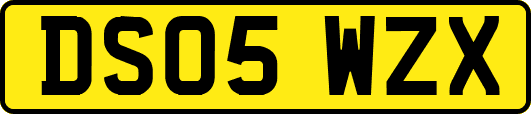DS05WZX