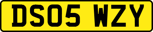 DS05WZY