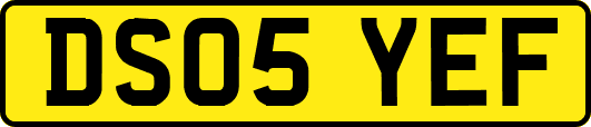 DS05YEF