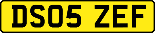 DS05ZEF