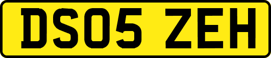 DS05ZEH