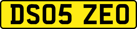 DS05ZEO