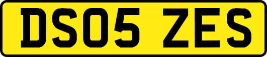 DS05ZES