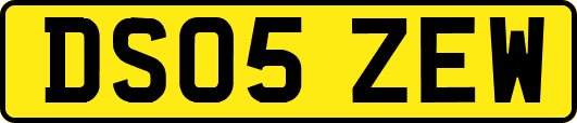 DS05ZEW