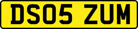 DS05ZUM