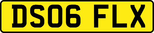 DS06FLX