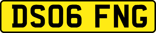 DS06FNG