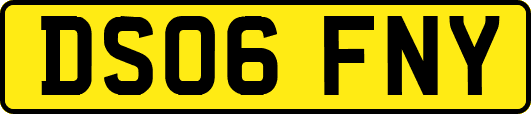 DS06FNY