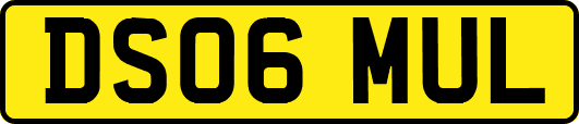DS06MUL