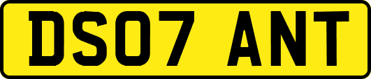 DS07ANT