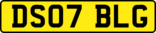 DS07BLG