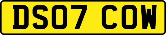 DS07COW