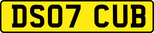 DS07CUB