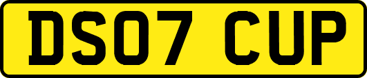 DS07CUP
