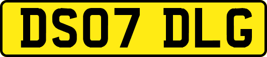 DS07DLG