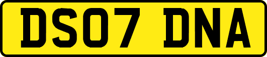 DS07DNA