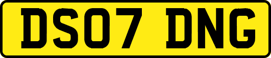 DS07DNG