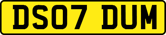 DS07DUM