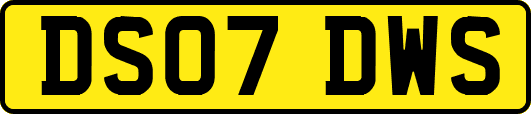 DS07DWS