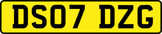 DS07DZG