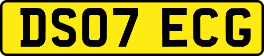 DS07ECG