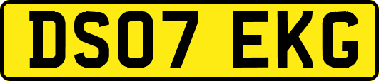 DS07EKG