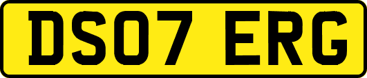 DS07ERG