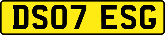 DS07ESG