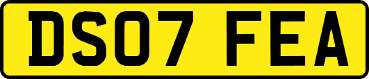 DS07FEA