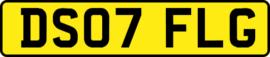 DS07FLG