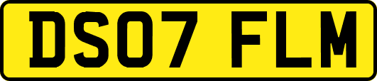 DS07FLM