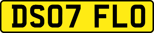 DS07FLO