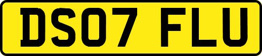 DS07FLU