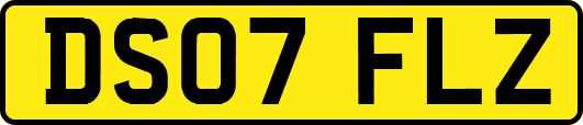 DS07FLZ