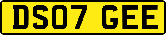 DS07GEE