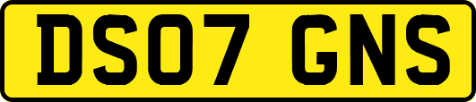 DS07GNS