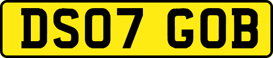 DS07GOB